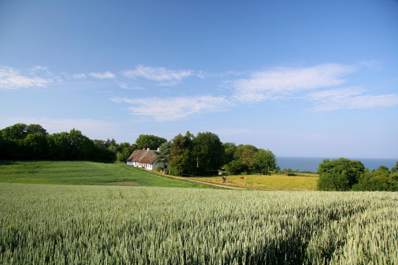 Jutland