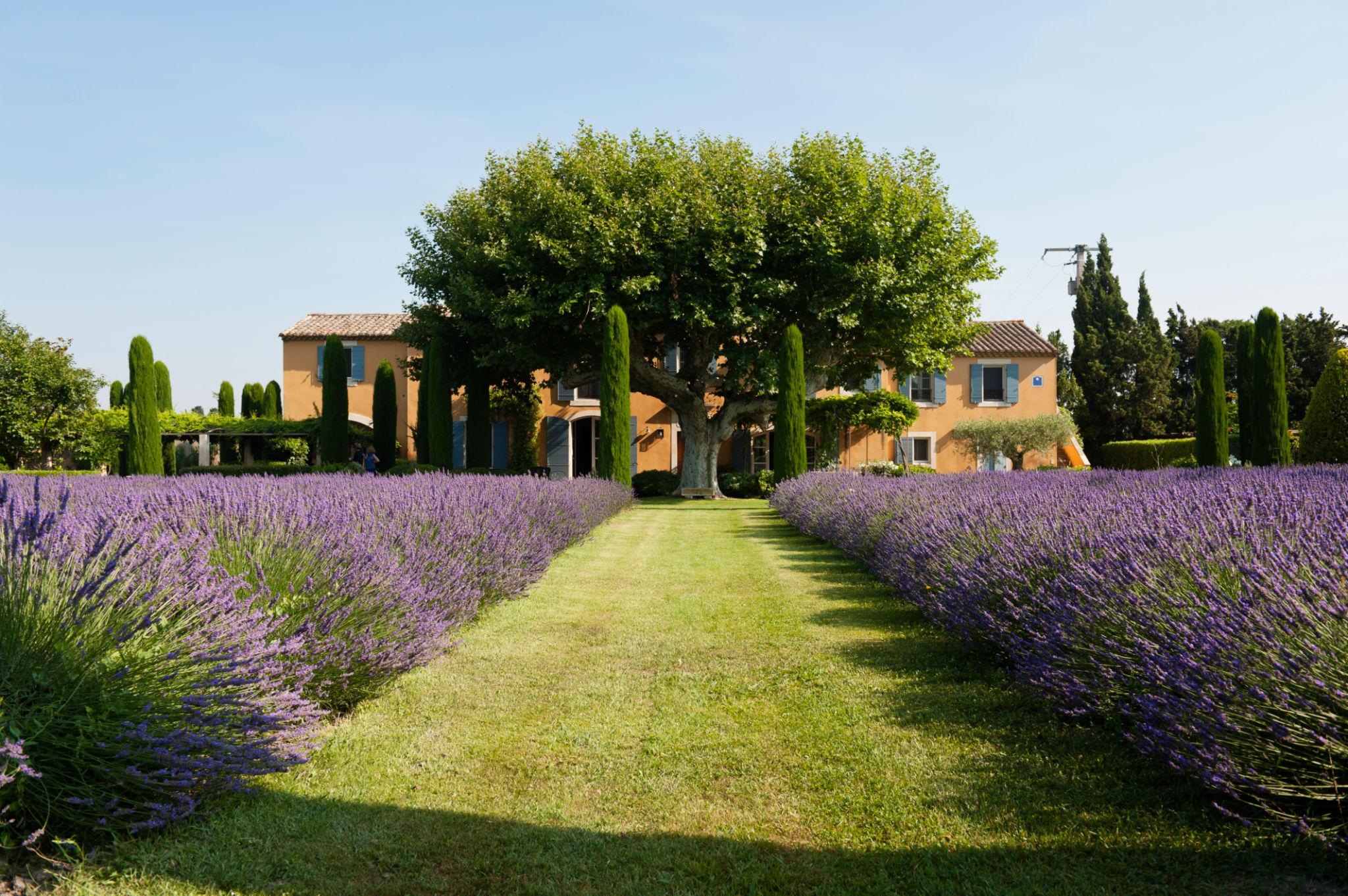 Provence