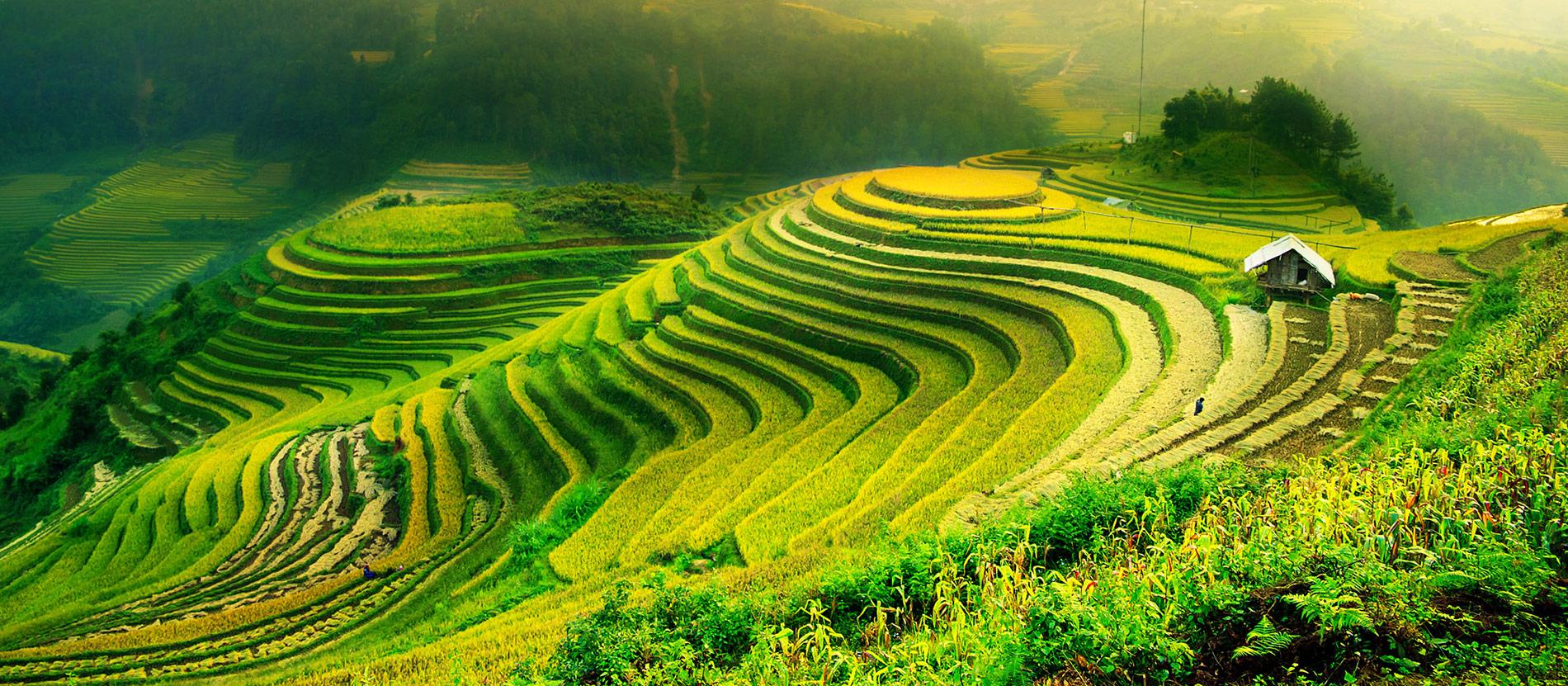 Vietnam